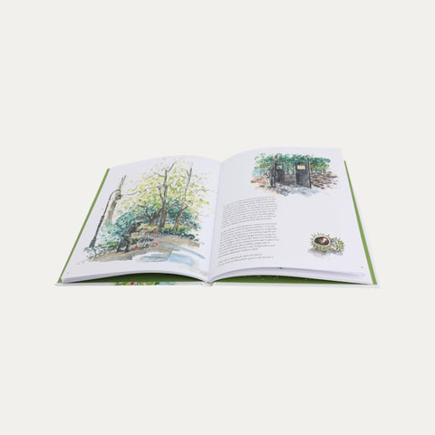 Gute Aussichten, Die Bremer Wallanlagen – Isa Fischer – Buch