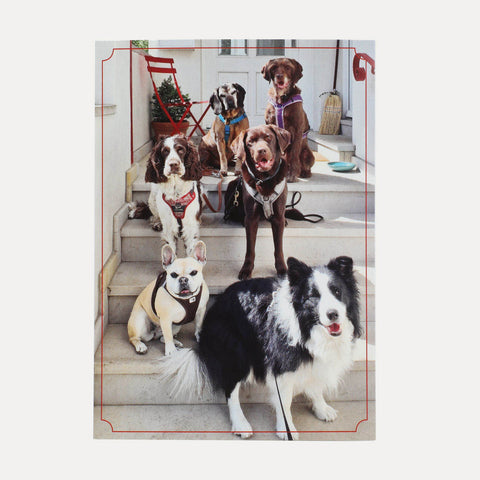 Gassi-Gang – Bremer Hunde – Postkarte