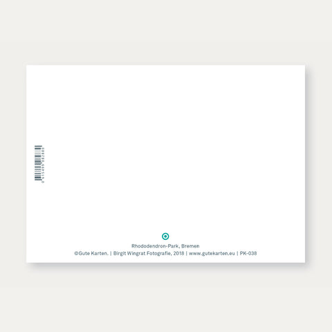 Rhododendron-Park Bremen (038) – Postkarte