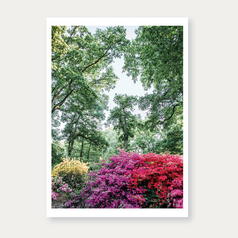 Rhododendron-Park Bremen (099) – Postkarte